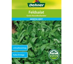 Dehner Samen Feldsalat 'Grote Noordhollandse'