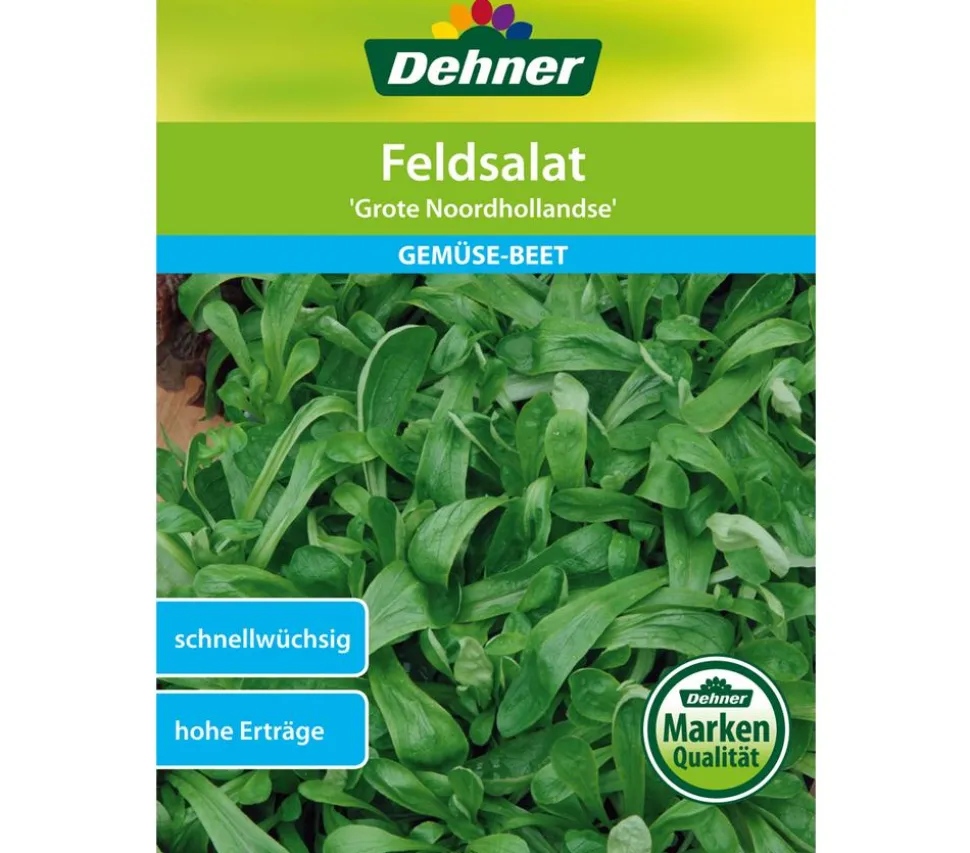 Dehner Samen Feldsalat 'Grote Noordhollandse'