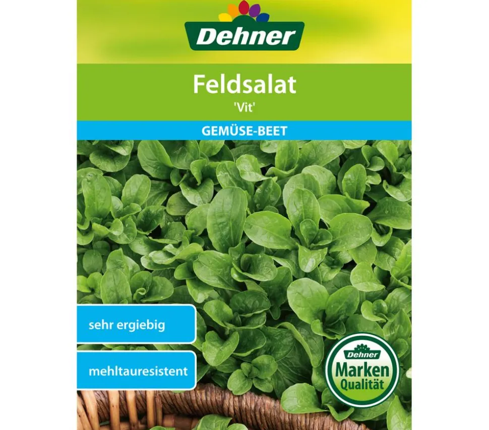 Dehner Samen Feldsalat 'Vit'