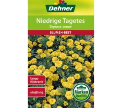 Dehner Samen für Niedrige Tagetes 'Zigeunersonne'