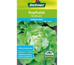 Dehner Samen Kopfsalat 'Mai Wunder'