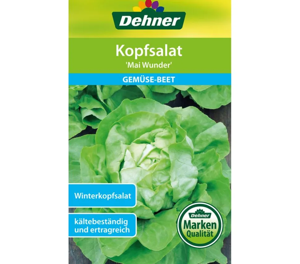 Dehner Samen Kopfsalat 'Mai Wunder'