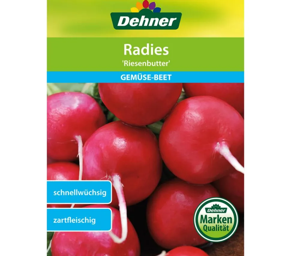 Dehner Samen Radies 'Riesenbutter'