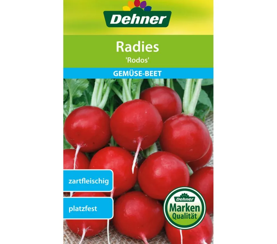 Dehner Samen Radies 'Rodos'