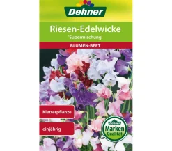 Dehner Samen Riesen-Edelwicke 'Supermischung'