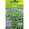 Dehner Samen Salbei