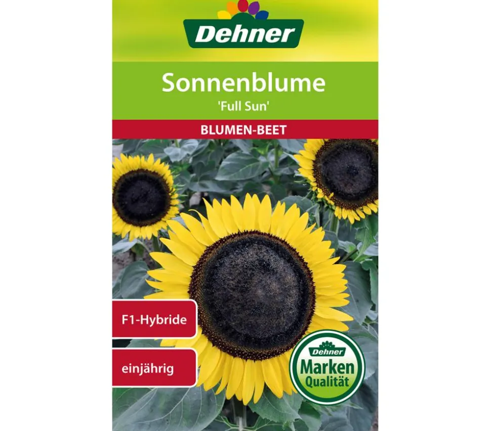 Dehner Samen Sonnenblume 'Full Sun'