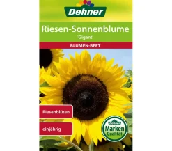 Dehner Samen Sonnenblume 'Gigant'