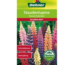 Dehner Samen Staudenlupine 'Russels Hybriden'