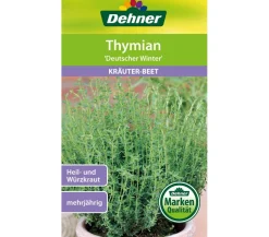 Dehner Samen Thymian 'Deutscher Winter'