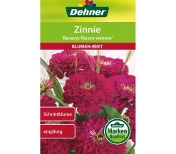 Dehner Samen Zinnie 'Benarys Riesen weinrot'