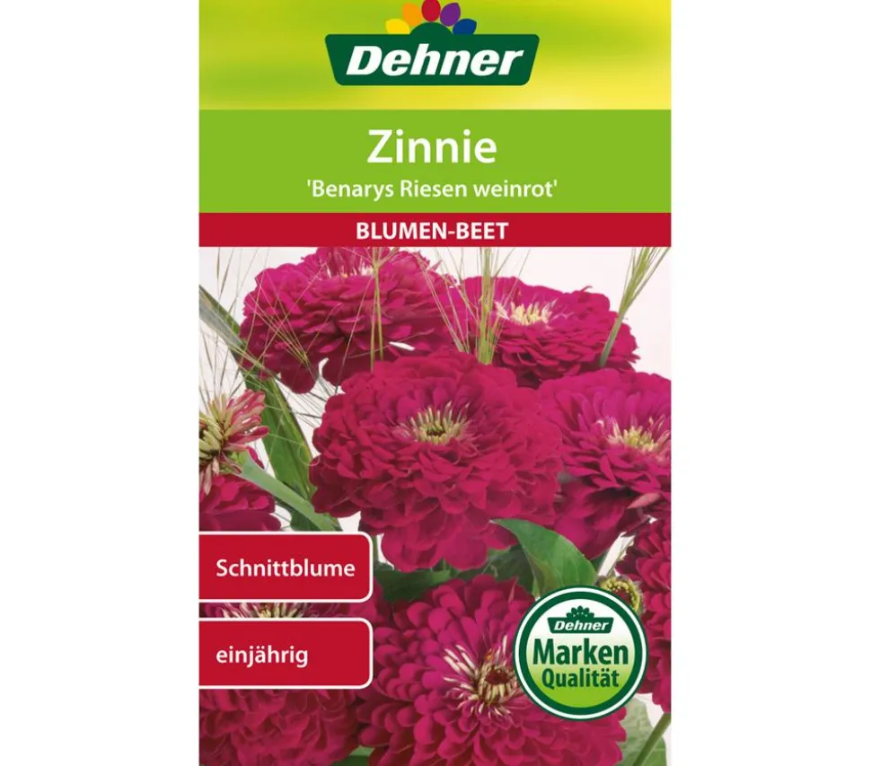 Dehner Samen Zinnie 'Benarys Riesen weinrot'