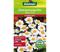 Dehner Samen Zwergmargerite 'Weißer Ring'