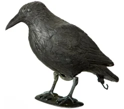 Dehner Taubenschreck Rabe