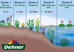 Dehner Treibring für Wasserpflanzen