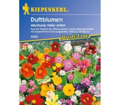 Duftblumen Mix, Saatgut von Kiepenkerl