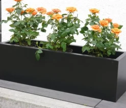 Eastwest Fiberglas-Blumenkasten Supremo, rechteckig