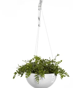 Ecopots Kunststoff-Ampel Brussels mit Wassersystem, rund