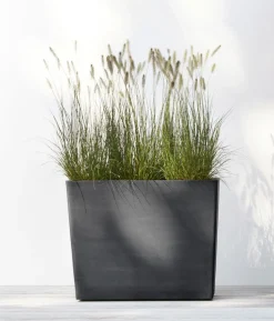 Ecopots Kunststoff-Kasten Paris mit Rollen, rechteckig