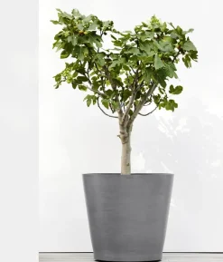 Ecopots Kunststoff-Topf Amsterdam mit Rollen, rund