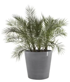 Ecopots Kunststoff-Topf Amsterdam mit Rollen, rund