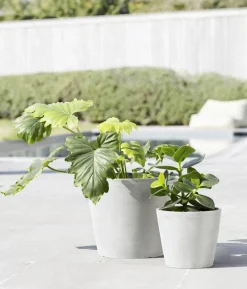 Ecopots Kunststoff-Topf Amsterdam mit Wassersystem, rund