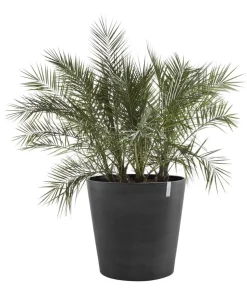 Ecopots Kunststoff-Topf Amsterdam mit Rollen, rund