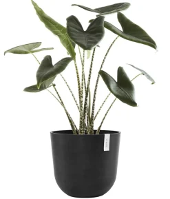 Ecopots Kunststoff-Topf Oslo mit Wassersystem, rund