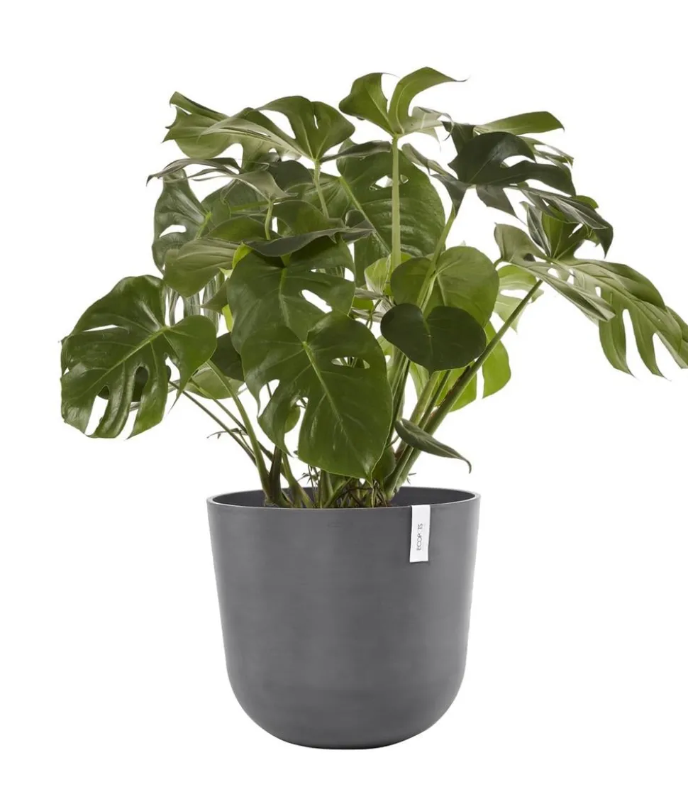 Ecopots Kunststoff-Topf Oslo mit Wassersystem, rund