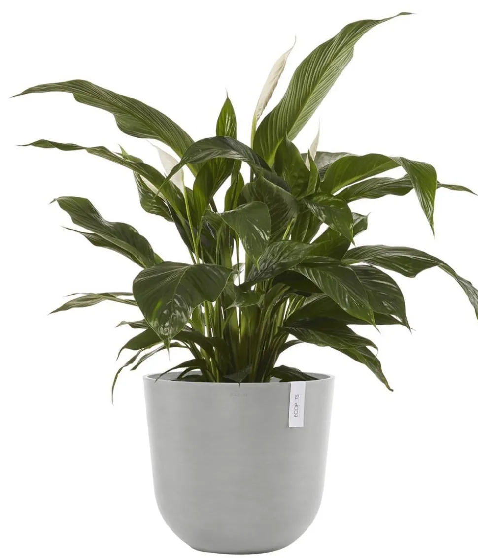 Ecopots Kunststoff-Topf Oslo mit Wassersystem, rund