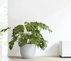 Ecopots Kunststoff-Topf Oslo mit Wassersystem, rund