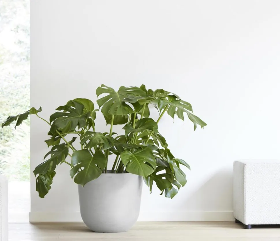 Ecopots Kunststoff-Topf Oslo mit Wassersystem, rund