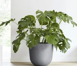 Ecopots Kunststoff-Topf Oslo mit Wassersystem, rund
