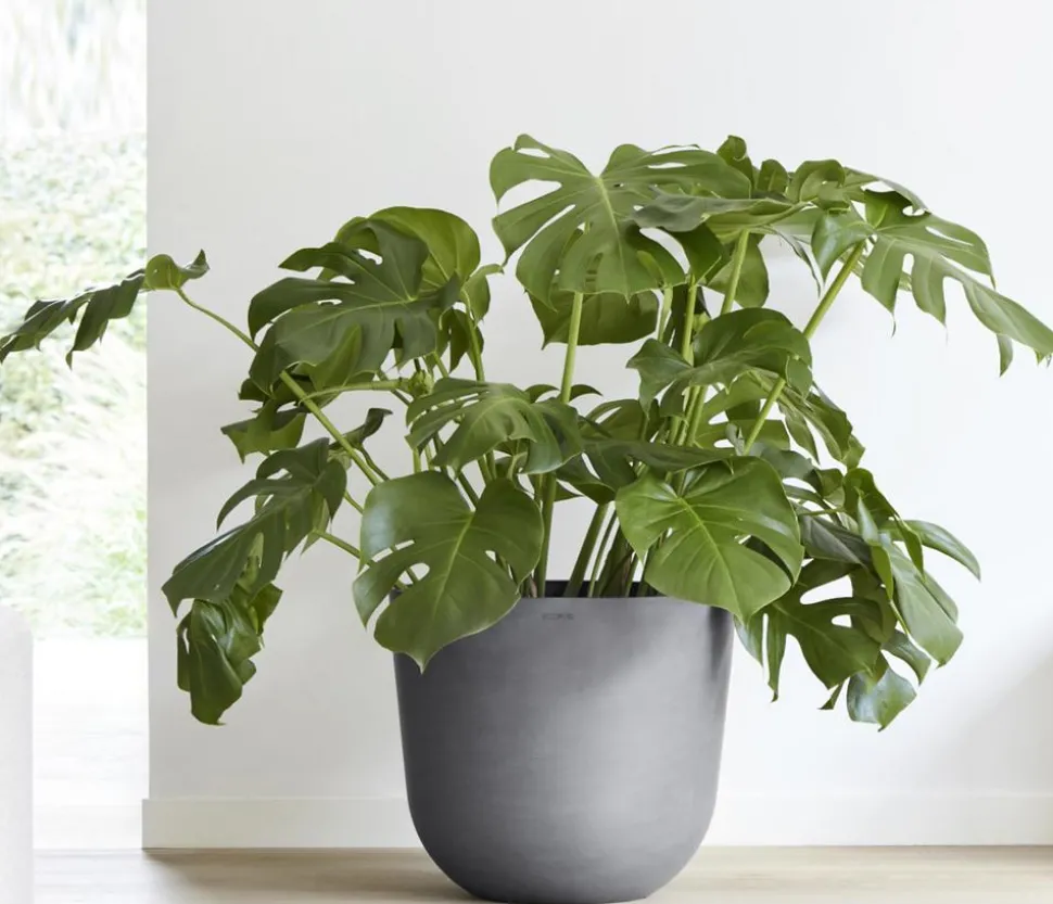 Ecopots Kunststoff-Topf Oslo mit Wassersystem, rund