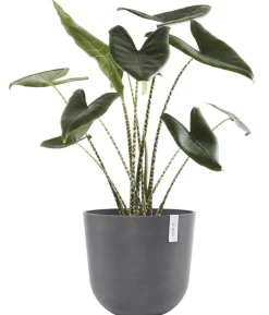 Ecopots Kunststoff-Topf Oslo mit Wassersystem, rund