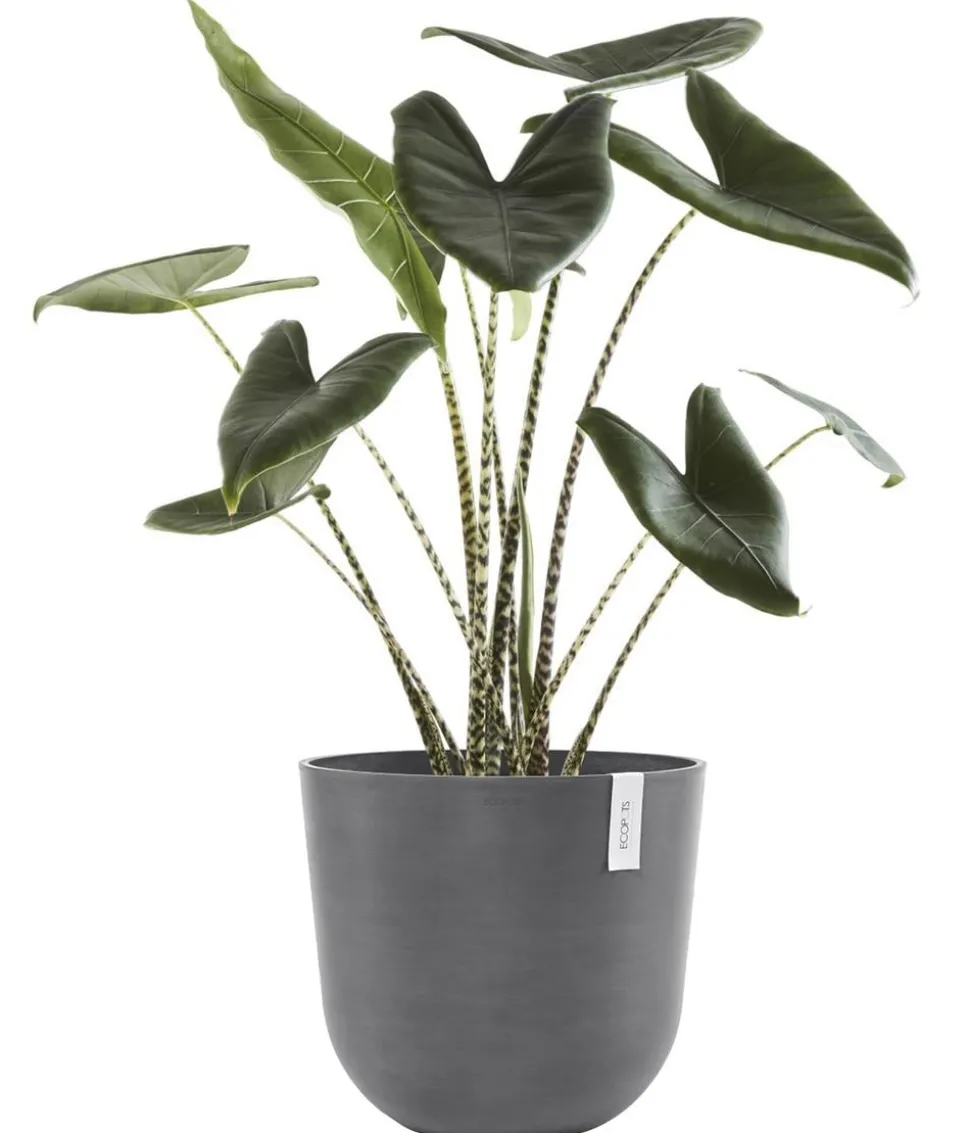 Ecopots Kunststoff-Topf Oslo mit Wassersystem, rund