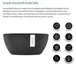 Ecopots Kunststoff-Schale Sofia mit Wassersystem, oval