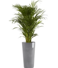 Ecopots Kunststoff-Topf Amsterdam hoch, rund