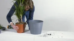 Ecopots Kunststoff-Topf Amsterdam mit Wassersystem, rund