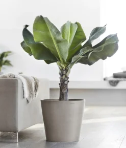 Ecopots Kunststoff-Topf Amsterdam, rund