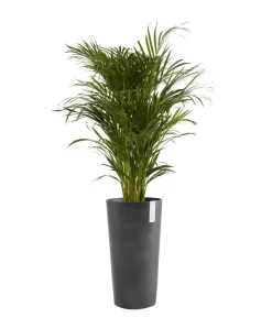 Ecopots Kunststoff-Topf Amsterdam hoch, rund