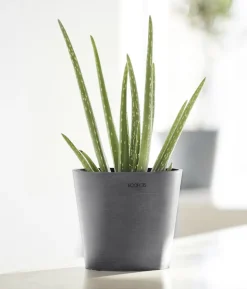 Ecopots Kunststoff-Topf Amsterdam Mini, rund, ca. Ø17/H14,7 cm
