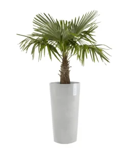 Ecopots Kunststoff-Topf Amsterdam hoch, rund