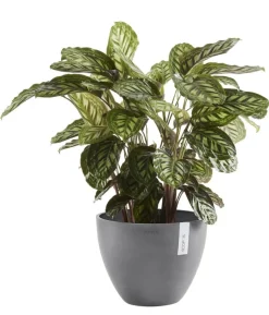 Ecopots Kunststoff-Topf Antwerp, rund