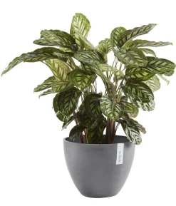 Ecopots Kunststoff-Topf Antwerp, rund