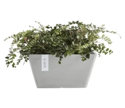Ecopots Kunststoff-Topf Berlin, quadratisch