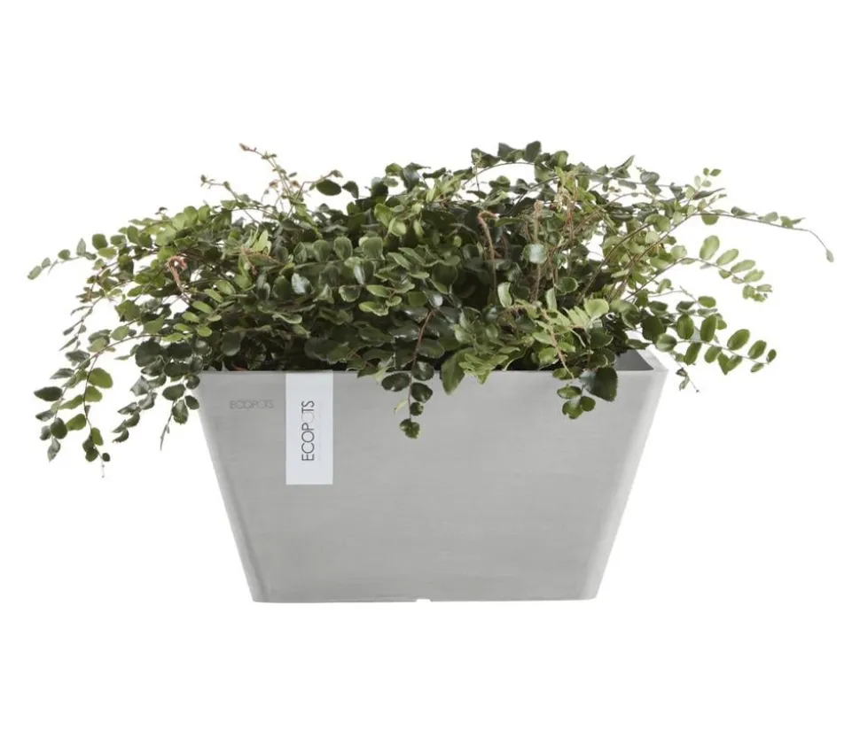 Ecopots Kunststoff-Topf Berlin, quadratisch