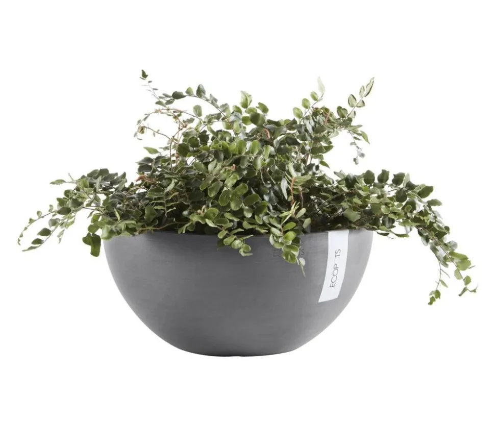 Ecopots Kunststoff-Topf Brussels, rund