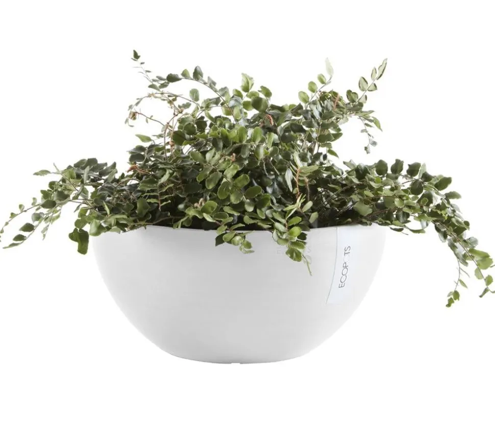 Ecopots Kunststoff-Topf Brussels, rund