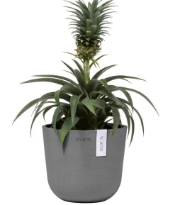 Ecopots Kunststoff-Topf Oslo Mini, rund